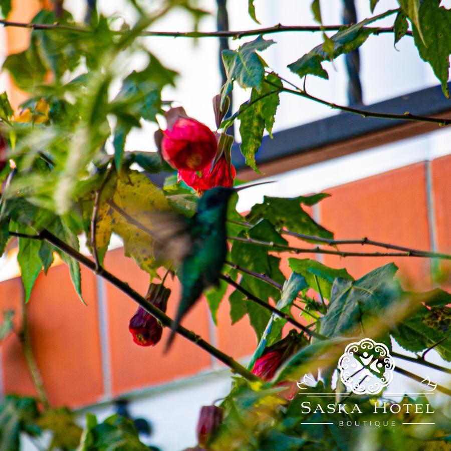 Saska Boutique Hotel Cusco Luaran gambar